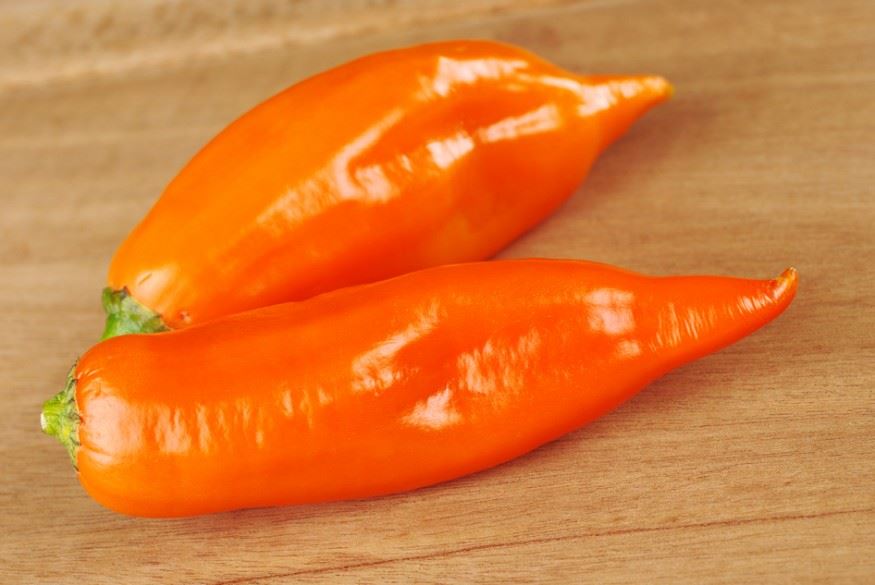 bogyós chili paprika