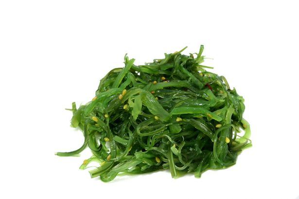 chlorella alga