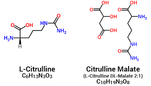 L-Citrullin | hatása, szedése & termékek