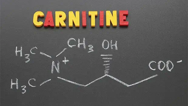 Zsírégető túladagolás, L-karnitin hatása