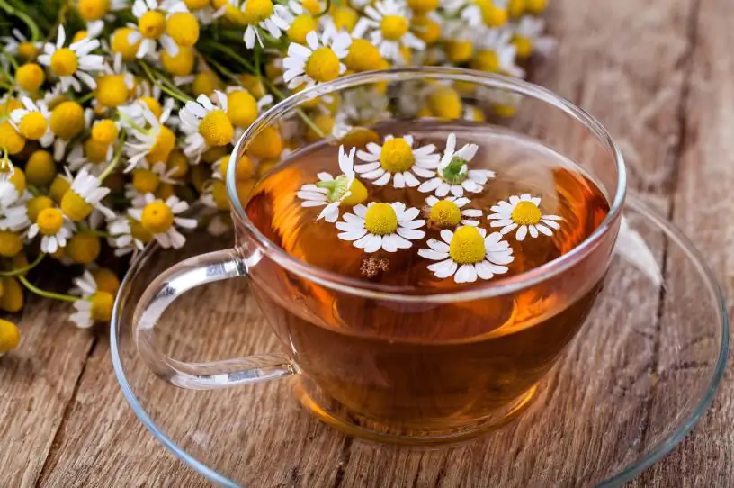 Kamilla tea fogyáshoz - egészségügyi előnyök, recept, mellékhatások; További POPxo