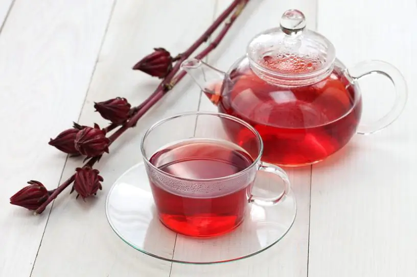 hibiszkusz tea fogyás előnyei)