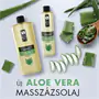Aloe vera masszázsolaj - 1000ml - Sara Beauty Spa