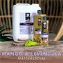 Mangó és Levendula masszázsolaj - 5000ml - Sara Beauty Spa